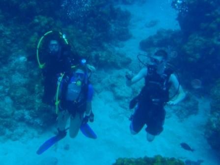 A Typical Day on San Salvador Island Wittenberg University A Typical Day on San Salvador Island Wittenberg University